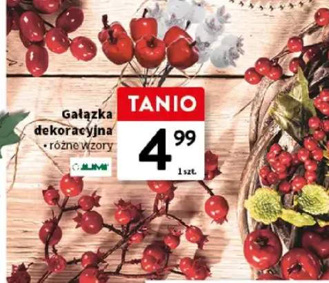 gałązka dekoracyjna