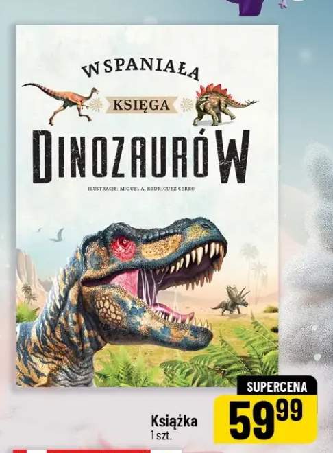 książka dla dzieci