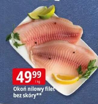 okoń filet
