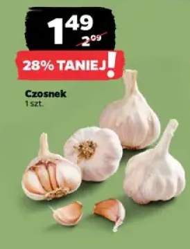 czosnek