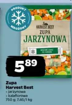 zupa jarzynowa