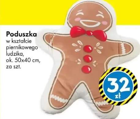 poduszka dekoracyjna