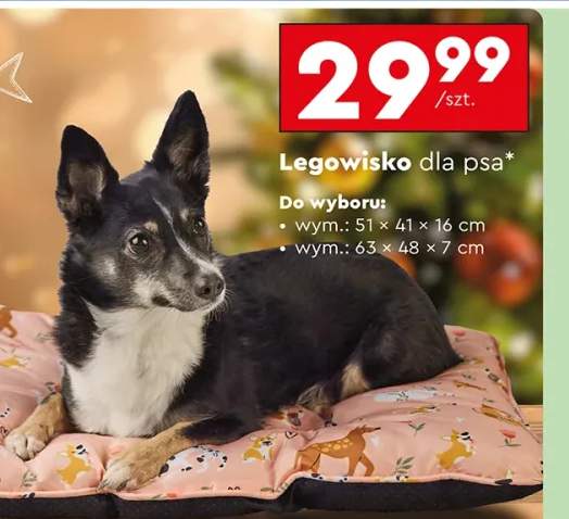 legowisko dla zwierząt