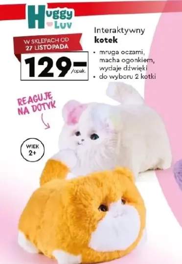 pluszak interaktywny