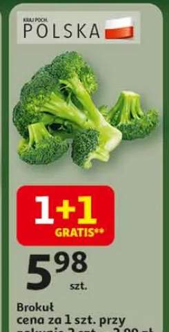 brokuł