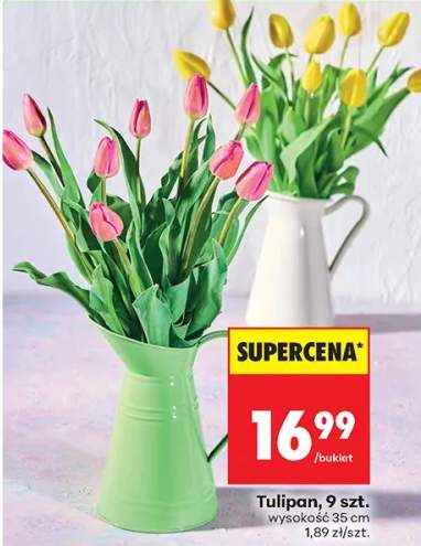 tulipany
