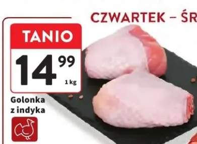 golonka z indyka
