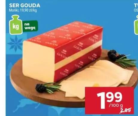 ser Gouda