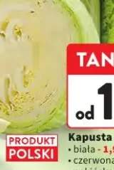 kapusta biała