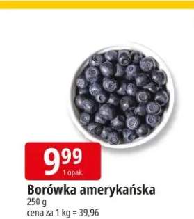 borówka amerykańska