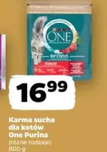 karma sucha dla kota