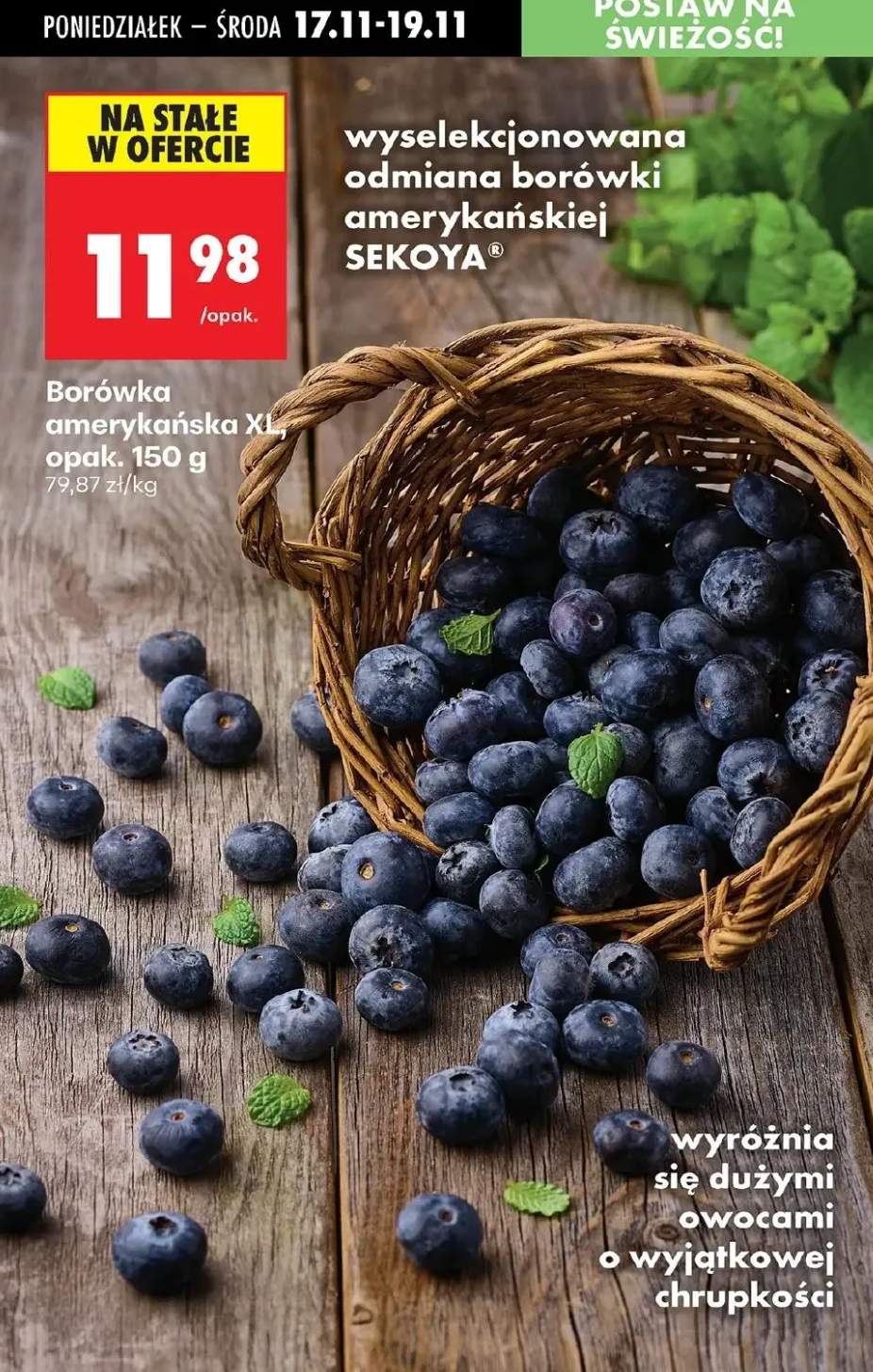 borówka amerykańska