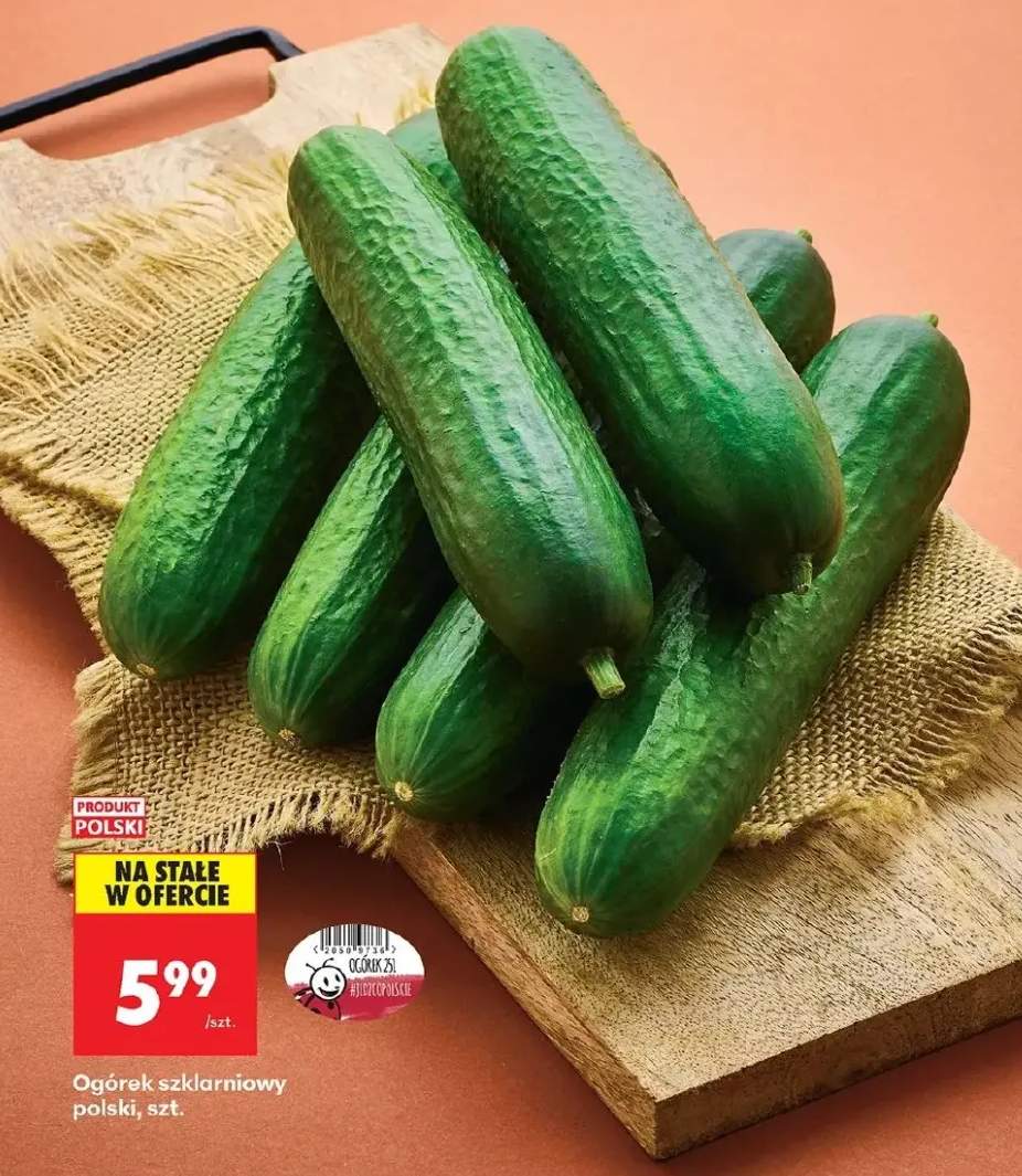 ogórek szklarniowy
