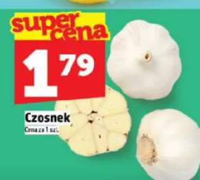 czosnek