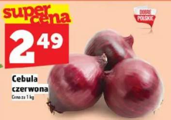 cebula czerwona