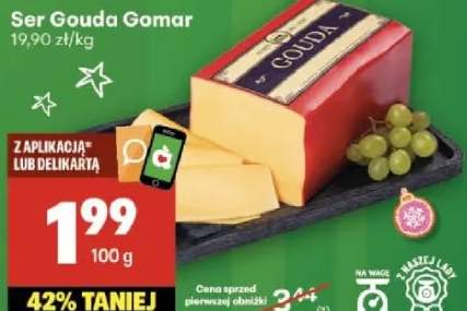 ser Gouda