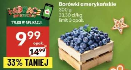 borówka amerykańska