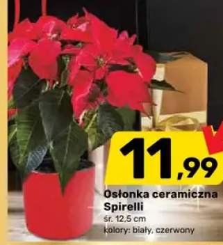 osłonka na doniczkę