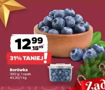 borówka amerykańska