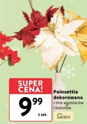 gałązka dekoracyjna