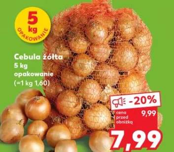 cebula żółta