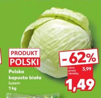 kapusta biała