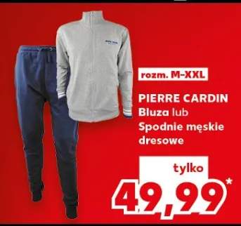 bluza