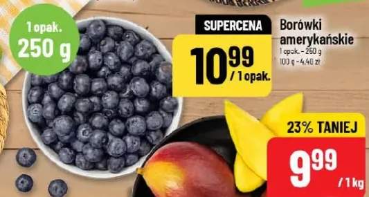 borówka amerykańska