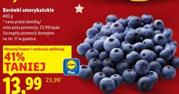 borówka amerykańska