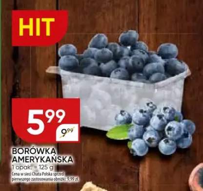 borówka amerykańska