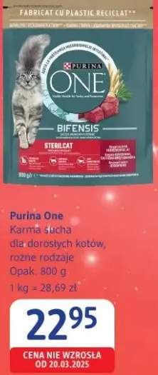 karma sucha dla kota