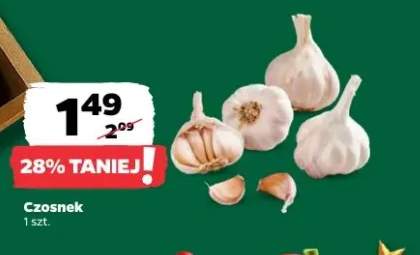 czosnek