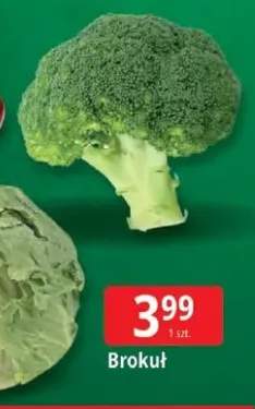 brokuł