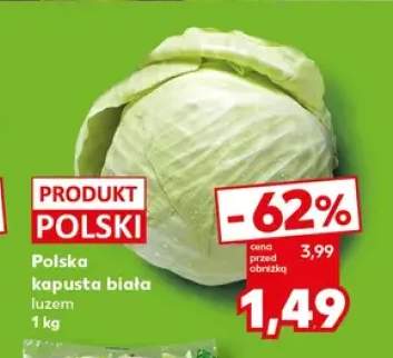 kapusta biała