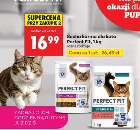 karma sucha dla kota