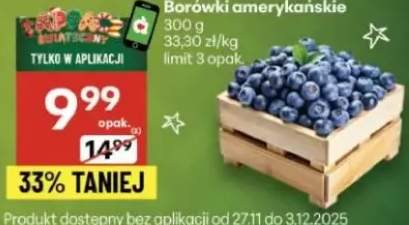 borówka amerykańska