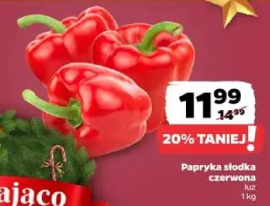 papryka słodka