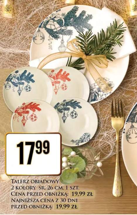 talerz obiadowy