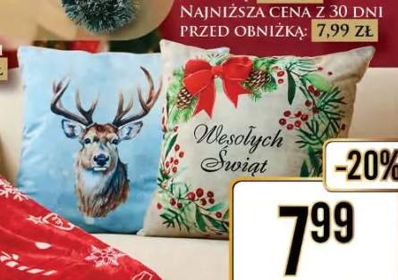 poszewka dekoracyjna