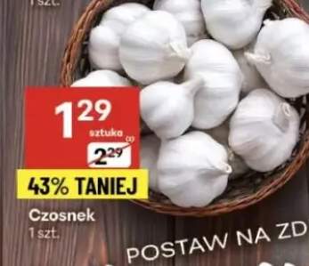 czosnek