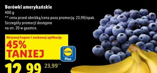 borówka amerykańska