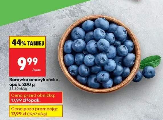 borówka amerykańska