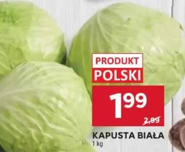 kapusta biała