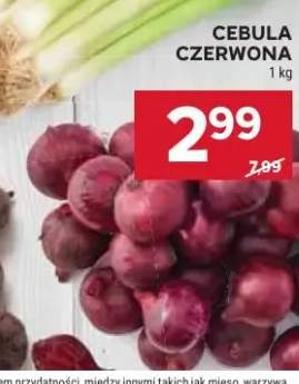 cebula czerwona