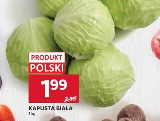 kapusta biała