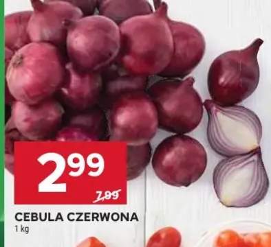 cebula czerwona