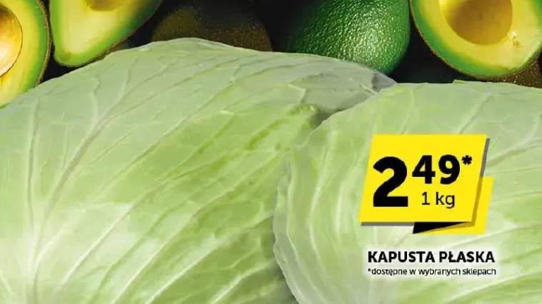 kapusta