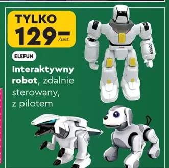 robot zdalnie sterowany