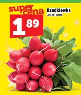 rzodkiewka