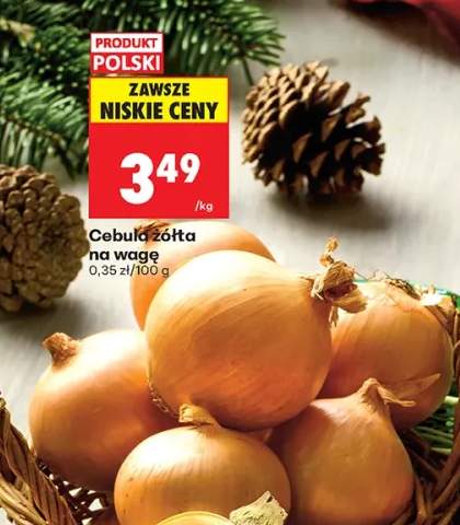 cebula żółta